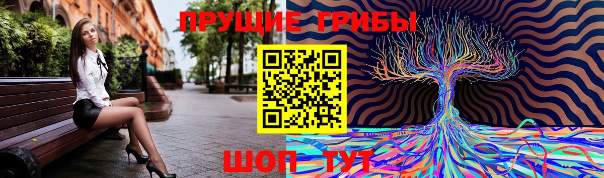 Псилоцибиновые грибы MAGIC MUSHROOMS Сорочинск